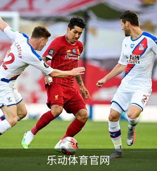 乐动体育官网品牌故事
